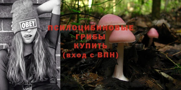 каннабис Нефтекумск